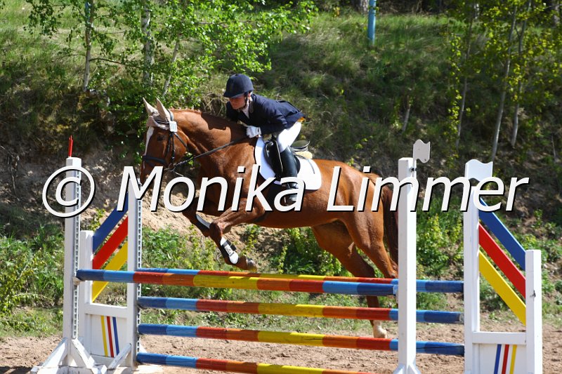 004M1801_Melody of Dreams_Springpferde A xx.JPG